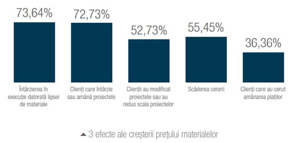 probleme constructii