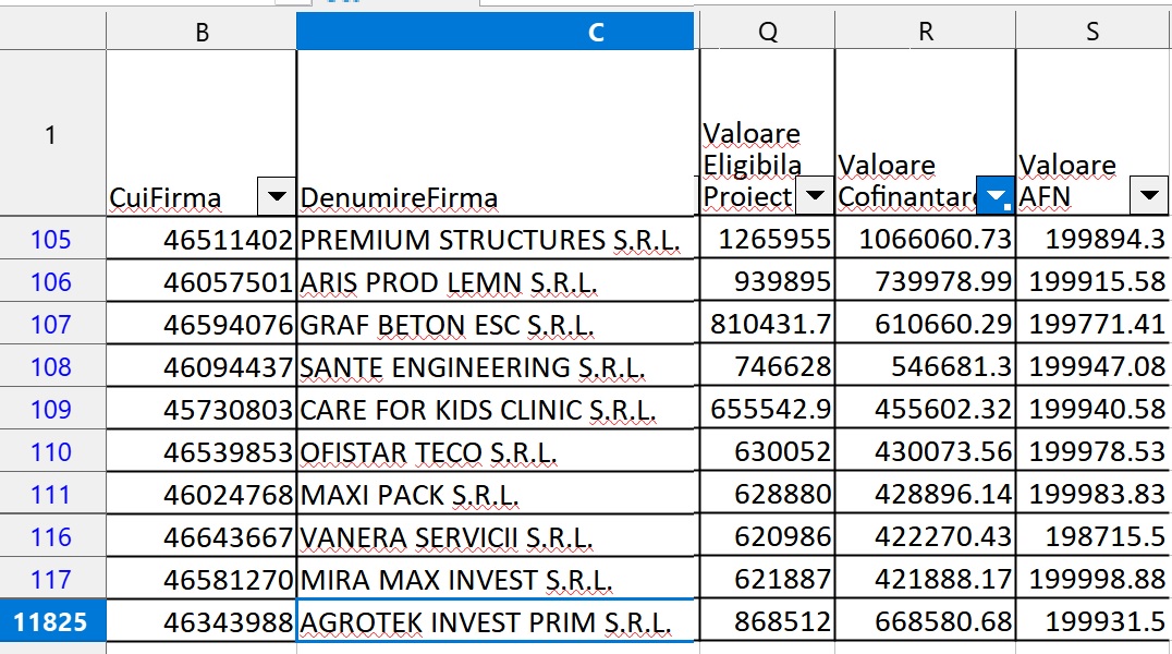 top 10 cofinantare SUN 2022